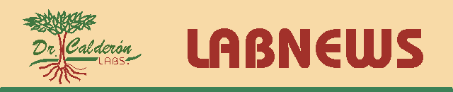 Labnews00_head.gif (4549 bytes)